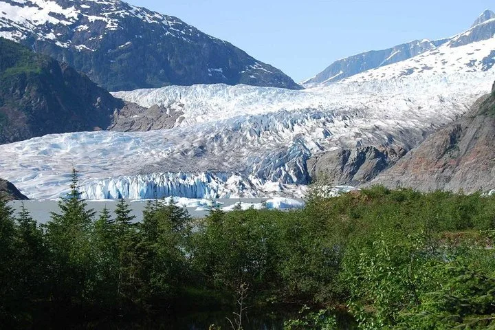 Mendenhall Glacier above the forest